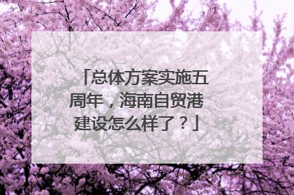 总体方案实施五周年，海南自贸港建设怎么样了？