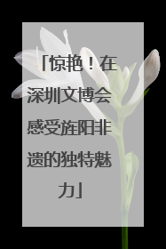 惊艳！在深圳文博会感受旌阳非遗的独特魅力