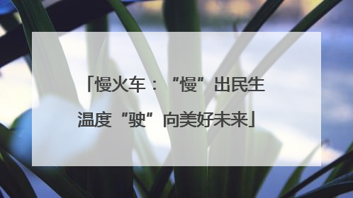 慢火车：“慢”出民生温度“驶”向美好未来