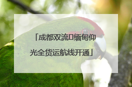 成都双流⇌缅甸仰光全货运航线开通