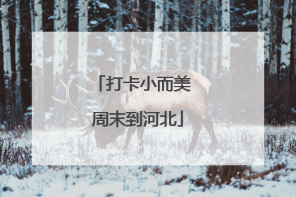 打卡小而美 周末到河北