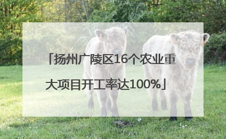 扬州广陵区16个农业重大项目开工率达100%