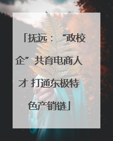 抚远：“政校企”共育电商人才 打通东极特色产销链