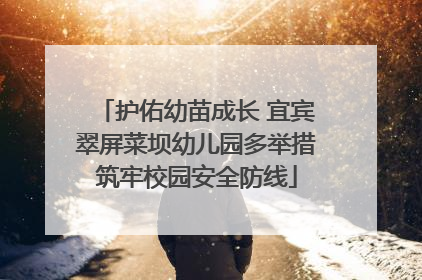 护佑幼苗成长 宜宾翠屏菜坝幼儿园多举措筑牢校园安全防线