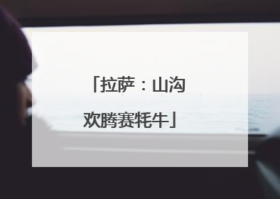 拉萨：山沟欢腾赛牦牛