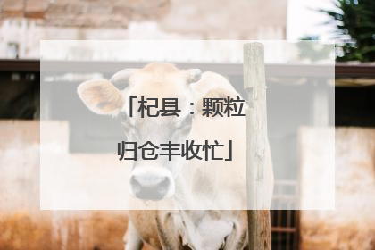 杞县：颗粒归仓丰收忙
