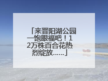 来晋阳湖公园一饱眼福吧！12万株百合花热烈绽放……