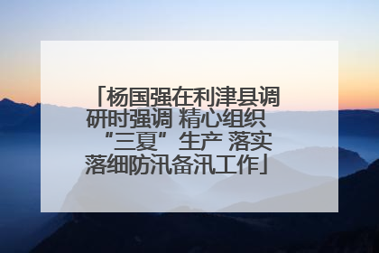 杨国强在利津县调研时强调 精心组织“三夏”生产 落实落细防汛备汛工作
