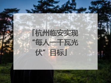 杭州临安实现“每人一千瓦光伏”目标