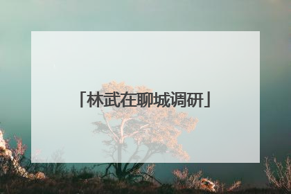 林武在聊城调研
