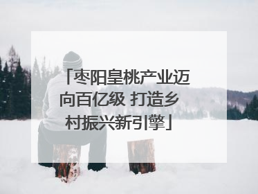 枣阳皇桃产业迈向百亿级 打造乡村振兴新引擎