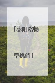 枣阳路畅皇桃俏