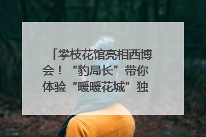 攀枝花馆亮相西博会！“豹局长”带你体验“暖暖花城”独特魅力｜西博视界