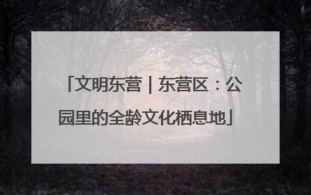 文明东营｜东营区：公园里的全龄文化栖息地
