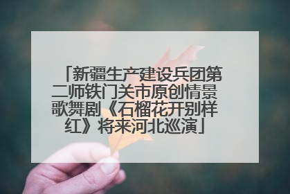 新疆生产建设兵团第二师铁门关市原创情景歌舞剧《石榴花开别样红》将来河北巡演