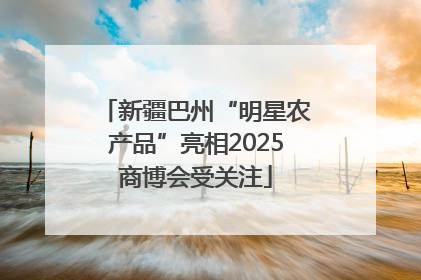 新疆巴州“明星农产品”亮相2025商博会受关注