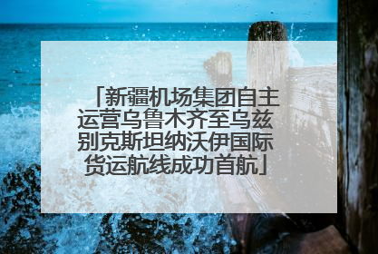 新疆机场集团自主运营乌鲁木齐至乌兹别克斯坦纳沃伊国际货运航线成功首航