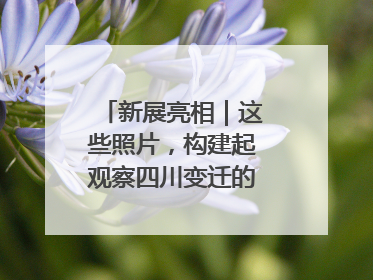 新展亮相｜这些照片，构建起观察四川变迁的独特视角