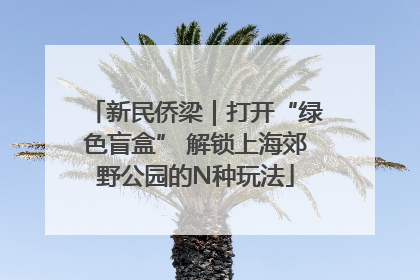 新民侨梁｜打开“绿色盲盒” 解锁上海郊野公园的N种玩法