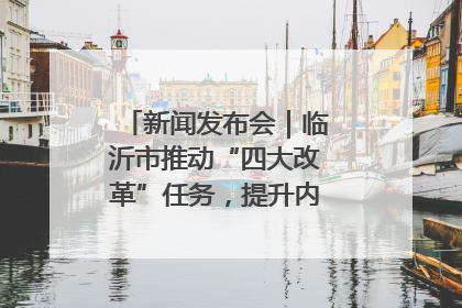 新闻发布会｜临沂市推动“四大改革”任务，提升内部审计监督效能