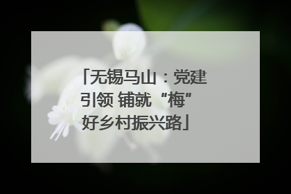 无锡马山：党建引领 铺就“梅”好乡村振兴路