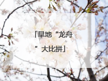 旱地“龙舟”大比拼