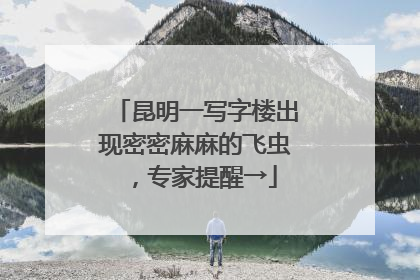 昆明一写字楼出现密密麻麻的飞虫，专家提醒→