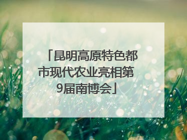 昆明高原特色都市现代农业亮相第9届南博会