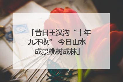 昔日王汉沟“十年九不收” 今日山水成景桃树成林