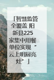 智慧监管全覆盖 阳新县225家集中用餐单位实现“云上明厨亮灶”