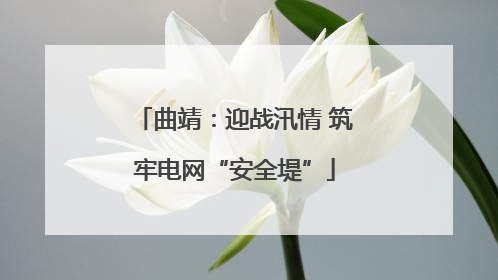 曲靖：迎战汛情 筑牢电网“安全堤”