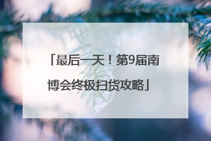 最后一天！第9届南博会终极扫货攻略