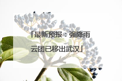 最新预报：强降雨云团已移出武汉