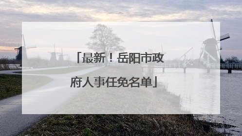 最新！岳阳市政府人事任免名单