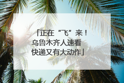 正在“飞”来！乌鲁木齐人速看 快递又有大动作