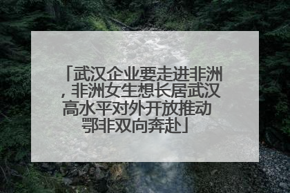 武汉企业要走进非洲，非洲女生想长居武汉 高水平对外开放推动鄂非双向奔赴