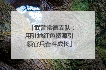 武警常德支队：用驻地红色资源引领官兵奋斗成长