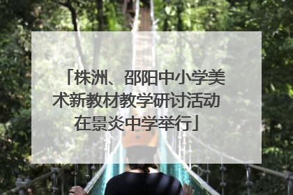 株洲、邵阳中小学美术新教材教学研讨活动在景炎中学举行