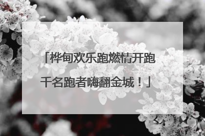 桦甸欢乐跑燃情开跑 千名跑者嗨翻金城！
