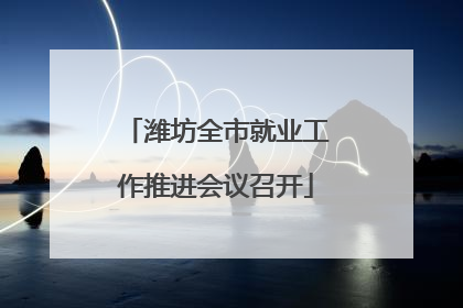 潍坊全市就业工作推进会议召开
