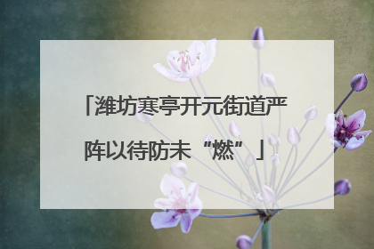 潍坊寒亭开元街道严阵以待防未“燃”