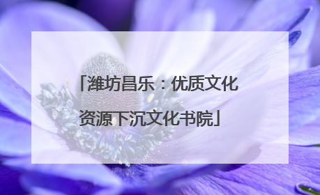 潍坊昌乐：优质文化资源下沉文化书院
