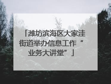 潍坊滨海区大家洼街道举办信息工作“业务大讲堂”