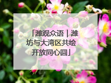 潍观众语｜潍坊与大湾区共绘开放同心圆