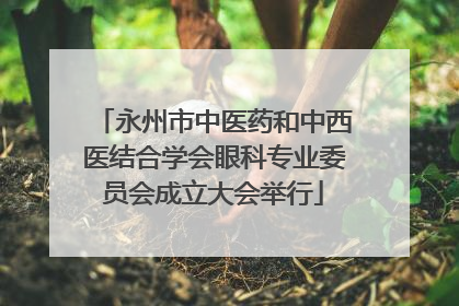 永州市中医药和中西医结合学会眼科专业委员会成立大会举行