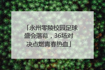 永州零陵校园足球盛会落幕，36场对决点燃青春热血