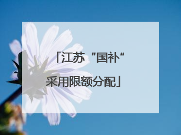 江苏“国补”采用限额分配