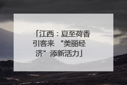 江西：夏至荷香引客来 “美丽经济”添新活力