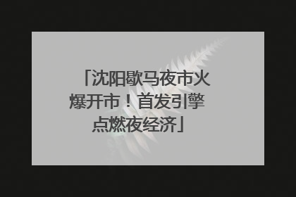 沈阳歇马夜市火爆开市！首发引擎点燃夜经济