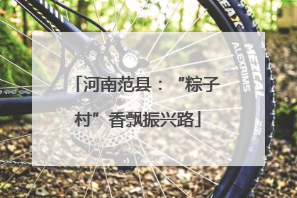 河南范县：“粽子村”香飘振兴路